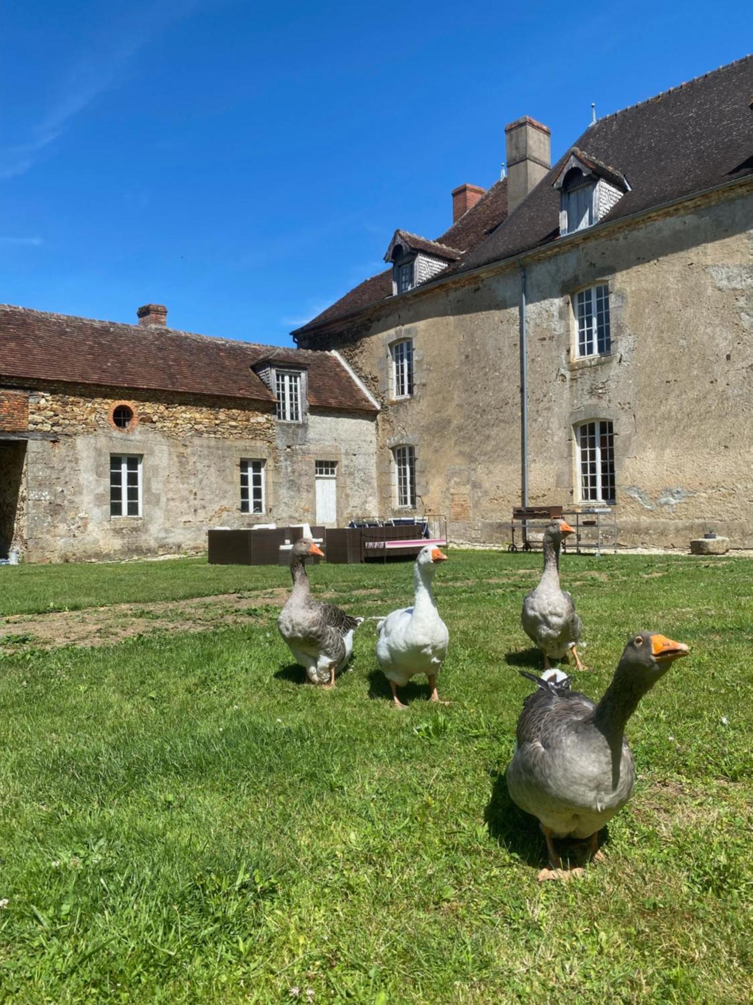 Chateau De Grandsagne Bonnat Eksteriør billede