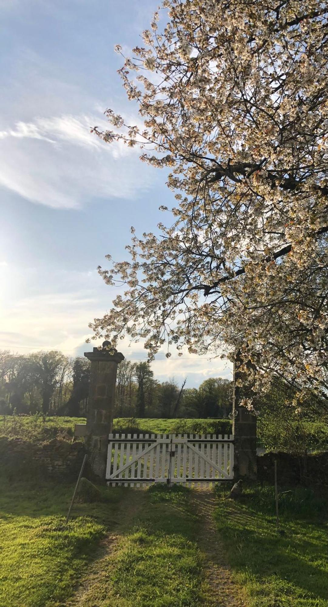 Chateau De Grandsagne Bonnat Eksteriør billede